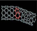 carbon nano tube